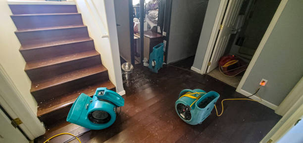 Best Basement water damage restoration  in Snowmass Village, CO