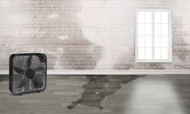 Best Fire Damage Restoration  in Snowmass Village, CO