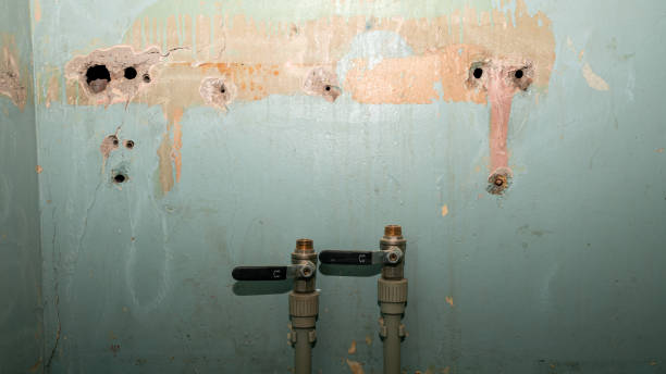 Best Water damage cleanup near me  in Snowmass Village, CO