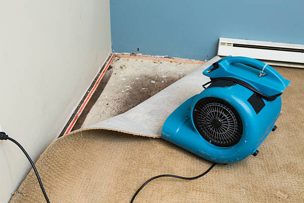 Best Carpet water damage restoration  in Snowmass Village, CO